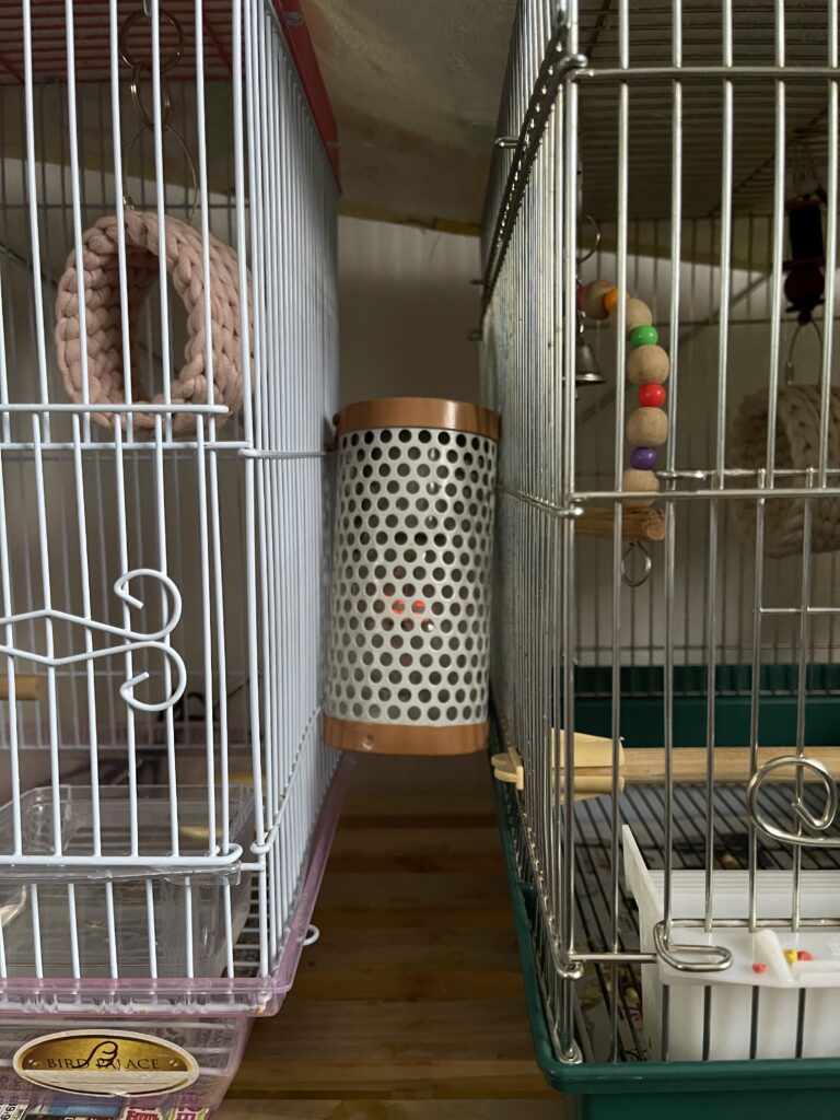 自宅の鳥用ヒーター