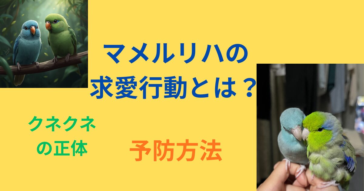 マメルリハの求愛行動とは？のアイキャッチ