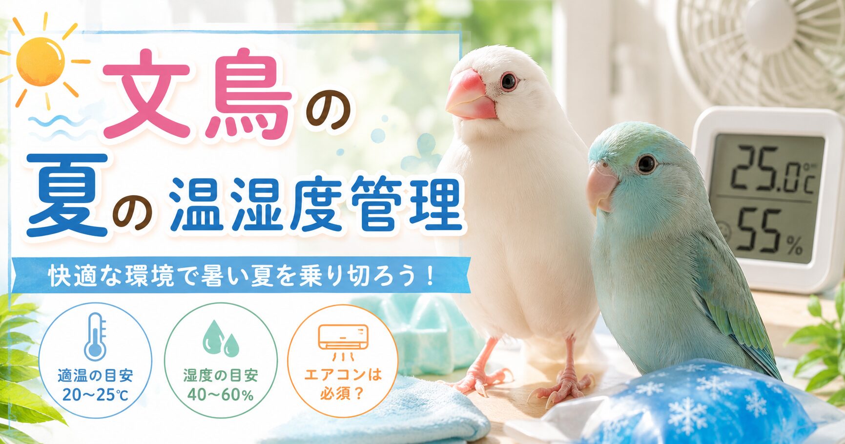 文鳥、マメルリハの夏の温湿度管理についてのアイキャッチ